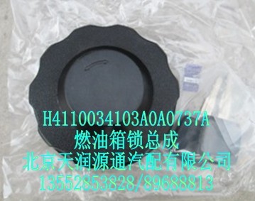 燃油箱鎖總成/H4110034103A0A0737A