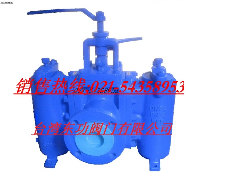 DG-39,DG-39复式切换型过滤器,上海东功阀门有限公司