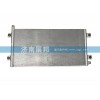 泠凝器總成WG1642820010