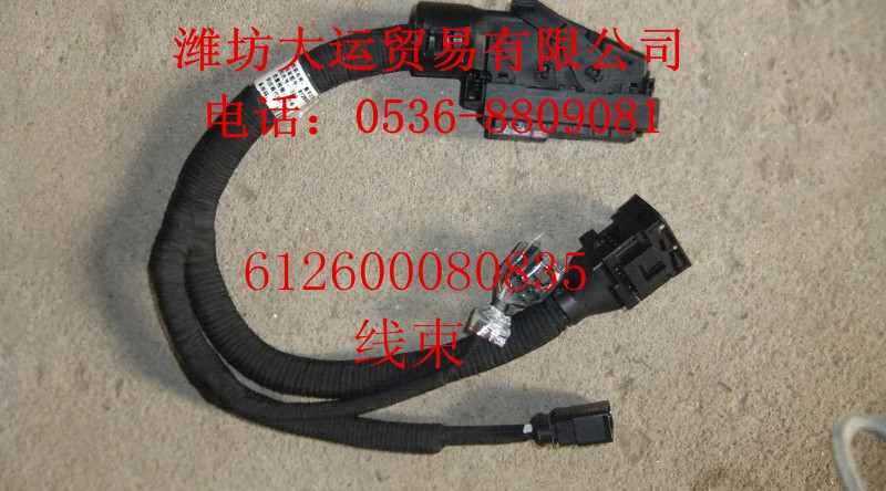 線束612600080835/612600080835