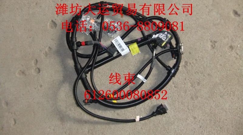 線束612600080852/612600080852