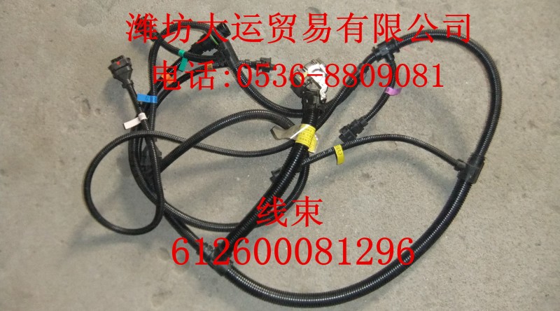 線(xiàn)束612600081296/612600081296