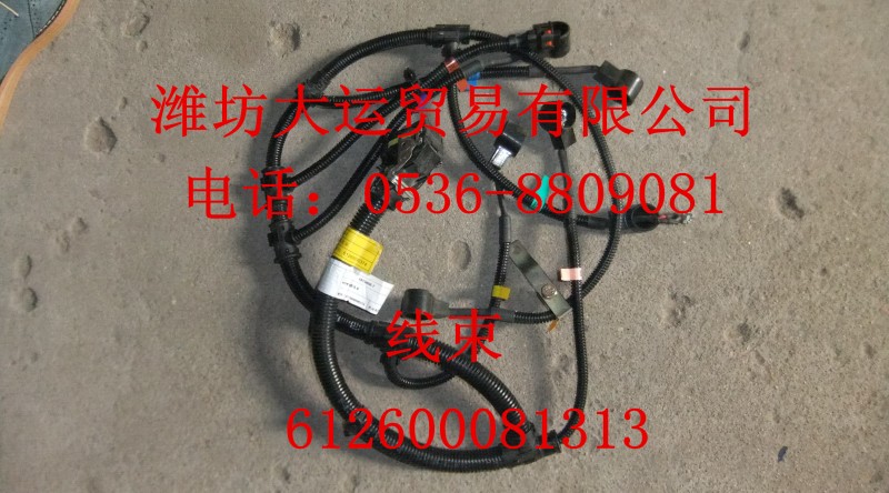 線束612600081313/612600081313