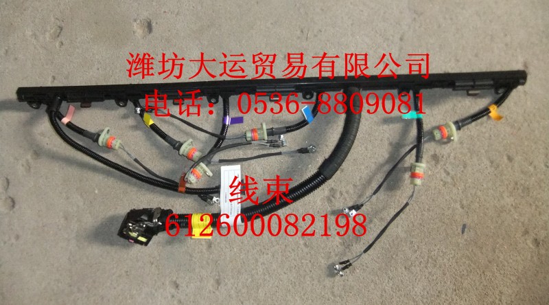 線束612600082198/612600090374