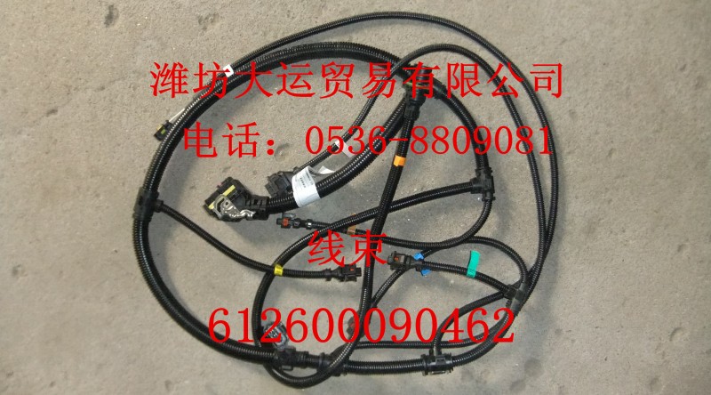 線束612630080072/612630080072