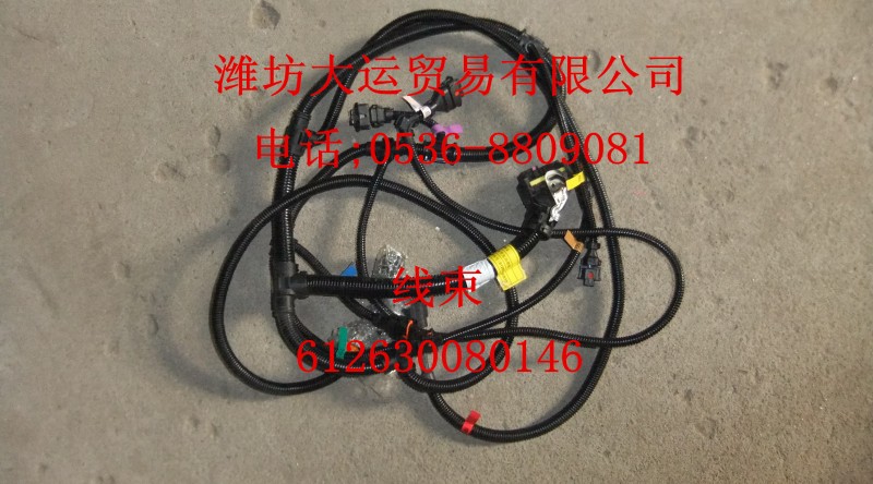 線(xiàn)束612630080146/612630080146