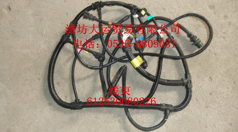 線束612630080226/612630080226
