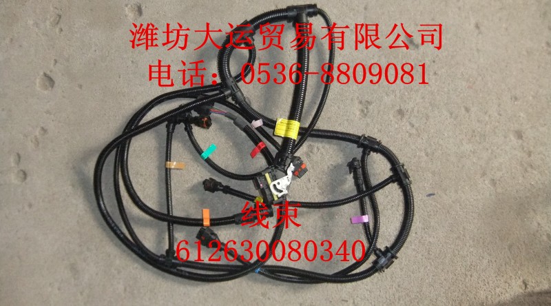 線(xiàn)束612630080340/612630080340