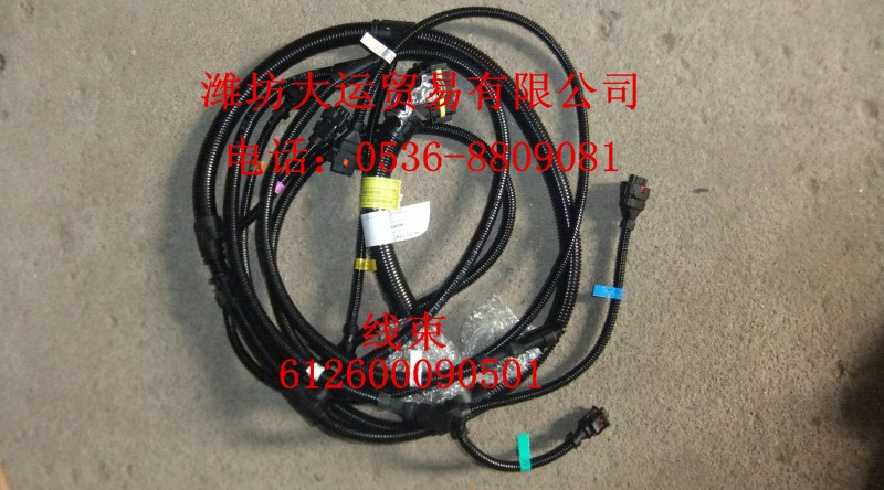 線束612600090501/612600090501