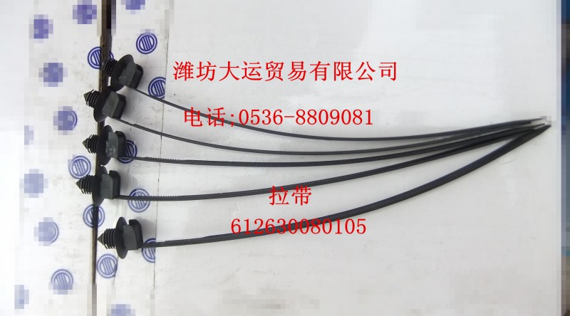 拉帶612630080105/612630080105
