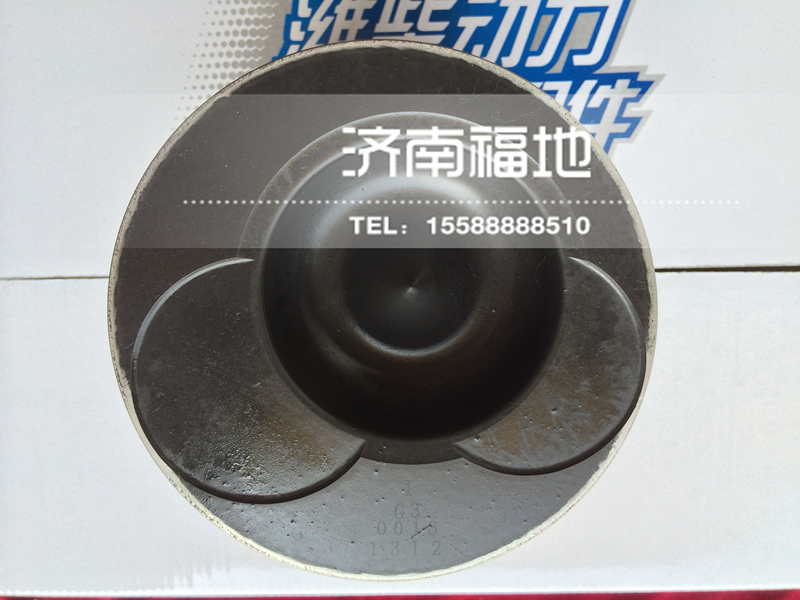612600030016,活塞,济南福地重汽配件销售中心