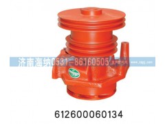 612600060134,水泵总成,济南海纳汽配有限公司