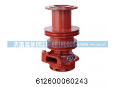 612600060243,水泵总成,济南海纳汽配有限公司
