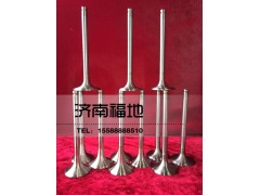 612600050073/0025,进排气门,济南福地重汽配件销售中心