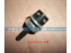 116000770119,喷咀,济南信兴汽车配件贸易有限公司