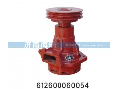 612600060054,水泵总成,济南海瑞重型汽车经销中心