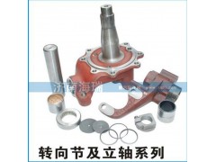 ,转向节及立轴系列,济南海瑞重型汽车经销中心