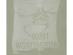 WG9719530260,膨胀水箱,济南海纳汽配有限公司