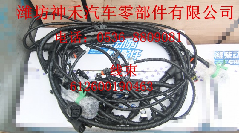 線束6126000190463/6126000190463