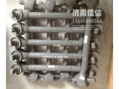 AZ9631521174,浇铸式下推力杆总成（商用车）,济南同驰汽车配件有限公司