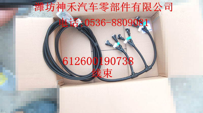 線束 612600190738/612600190738