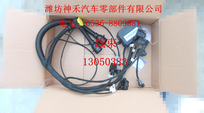 線束 13050383/13050383