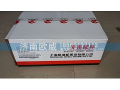 D05-101-41+A,活塞,济南欧威重型汽配有限公司