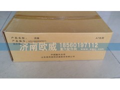 VG1560037011 E006,活塞,济南欧威重型汽配有限公司