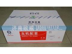 612600030047,E2-47活塞,济南欧威重型汽配有限公司