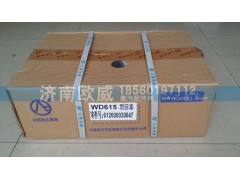 612600030047-1673,活塞,济南欧威重型汽配有限公司