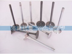 VG15600510001/1560050041,气门组,济南杭曼汽车配件有限公司