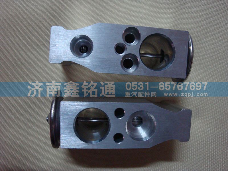 陜汽德龍F(tuán)3000環(huán)保口奧龍13膨脹閥/DZ13241841065
