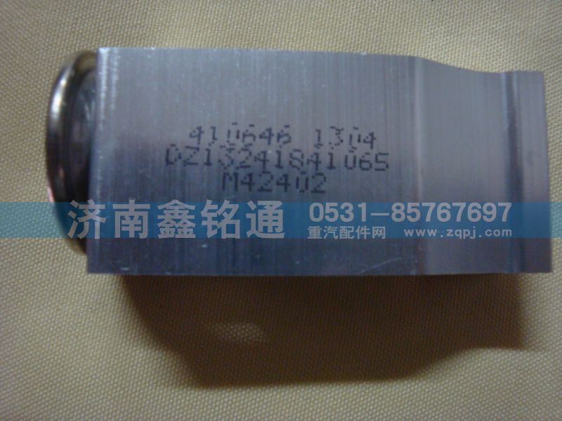 陜汽德龍F(tuán)3000環(huán)?？趭W龍13膨脹閥/DZ13241841065