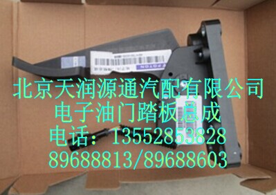 電子油門踏板總成/H4117030001A0A0932A