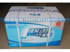 612630010015,气缸套,济南欧威重型汽配有限公司