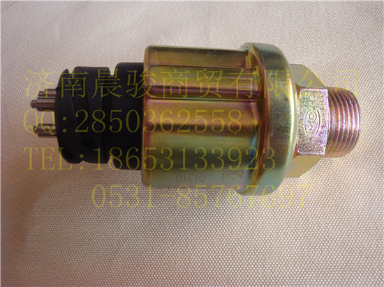 重汽豪沃A7油压传感器/WG9925710003/1
