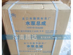 1307010A29D,水泵总成,济南锦阳汽配有限公司（原腾达）