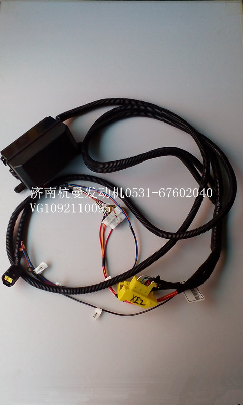 VG1092110095,发动机线束,济南杭曼汽车配件有限公司