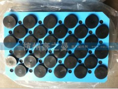 VG1560051001,进气门纯装机用,杭州豪之曼汽车配件