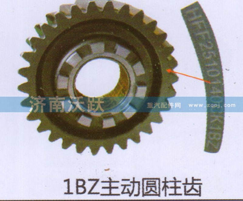 ,1BZ主动圆柱齿,济南沃跃欧曼汽车配件有限公司