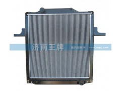 1301010-D816,散热器,济南王牌散热器有限公司