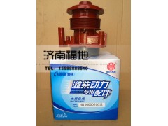 612600061611,水泵总成,济南福地重汽配件销售中心