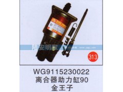 WG9115230022,,山东陆安明驭汽车零部件有限公司.