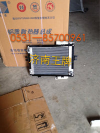 ,,济南王牌散热器有限公司