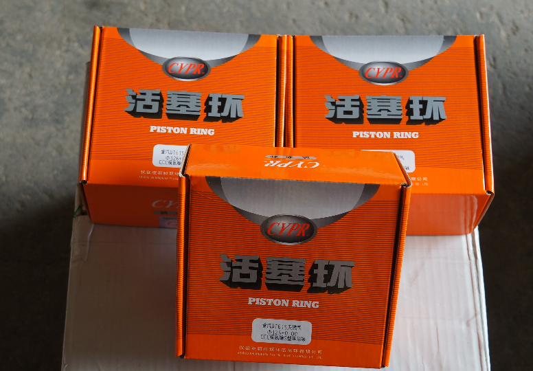 VG1540030011仪征