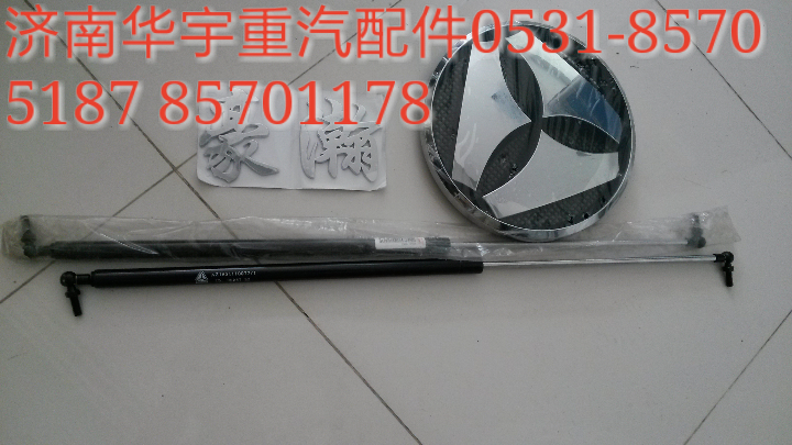 重汽豪瀚標(biāo)志 豪瀚字標(biāo) AZ1651930001/AZ1651930001