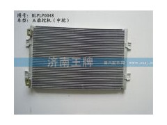 ,,济南王牌散热器有限公司
