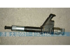 VG1096080010,喷油器总成,济南大功汽车配件有限公司