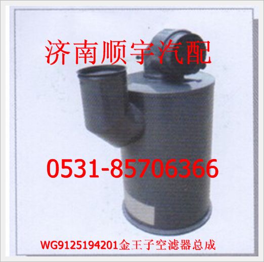 金王子2448空濾器總成WG9125194201/WG9125194201