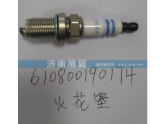 610800190174,火花塞,展鸿汽配有限公司（原展翼）